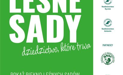 Lesne sady_Plakat